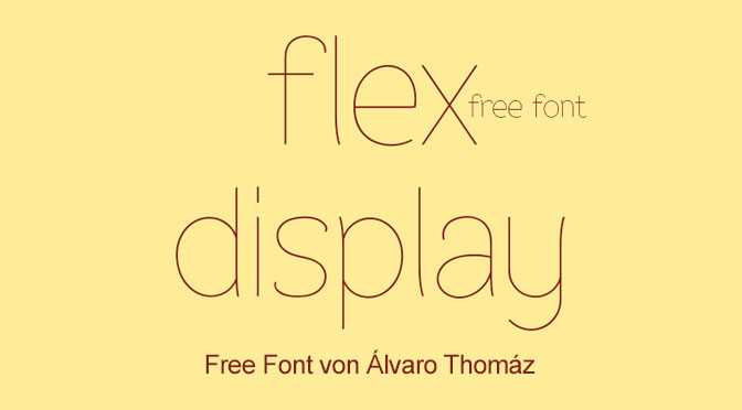 11-FlexDisplay