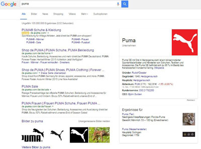 Google Entitäten-Box Puma