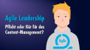 Agile Leadership – Pflicht oder Kür für das Content-Management?