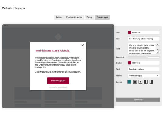 Easyfeedback Screenshot Websiteintegration