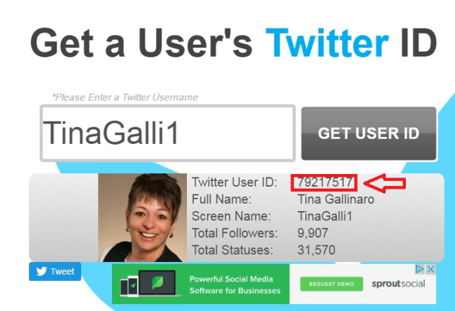Twitter ID abrufen 2